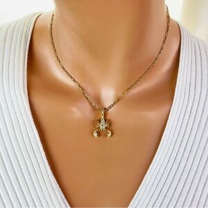 Gold Scorpio Pendant Women Men Unisex Gold Filled